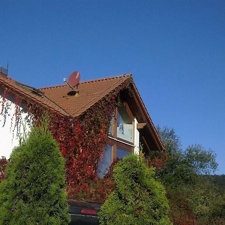 Ferienhaus Am Loeffelberghuettchen Gießübel Exterior foto