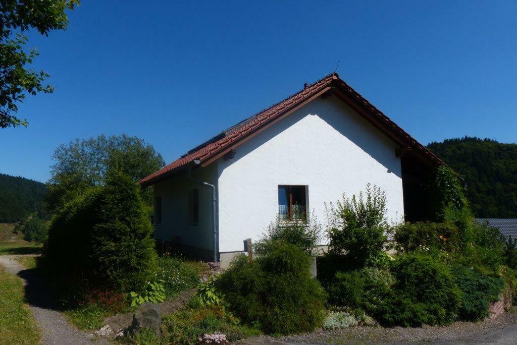 Ferienhaus Am Loeffelberghuettchen Gießübel Exterior foto